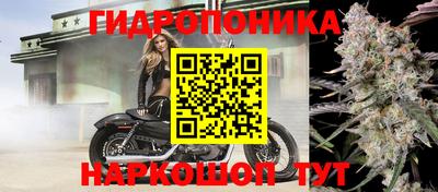 мяу мяу мука Будённовск