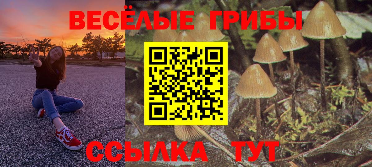 Галлюциногенные грибы ЛСД Дмитров