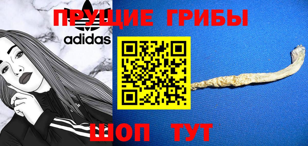 Псилоцибиновые грибы Cubensis  Вход с VPN  Дмитров  Галлюциногенные грибы Cubensis 