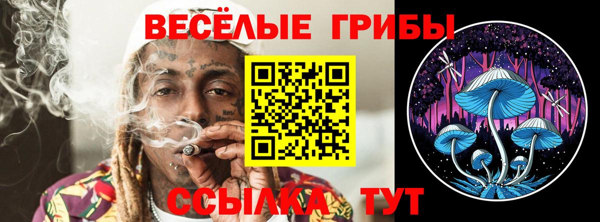 A-PVP Дмитров