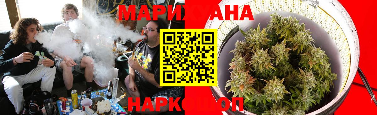 Конопля OG Kush Дмитров